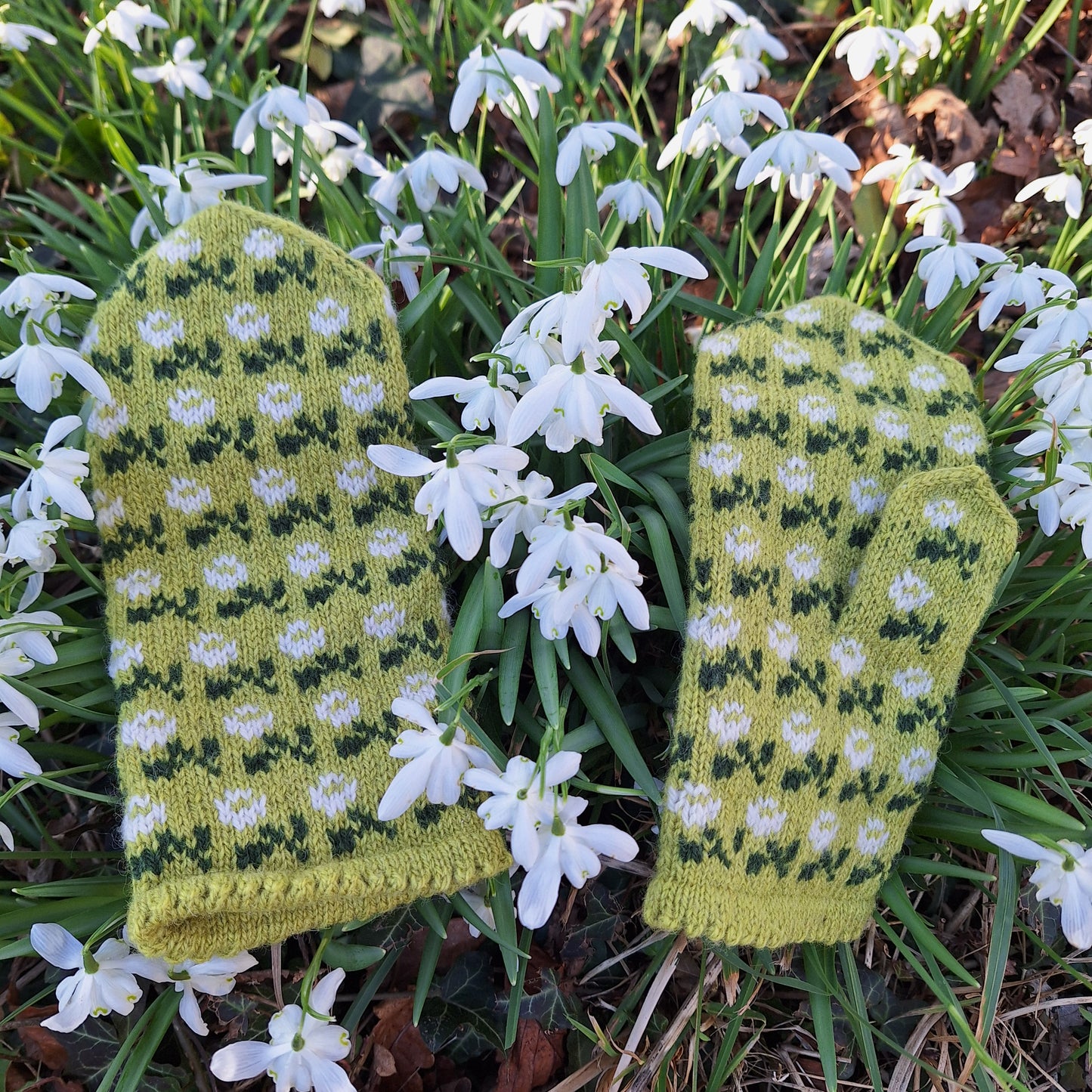 WHITE ROSES Knitting Kit – Mittens